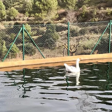 Ca La Neus - Casa Per 8 Persones Al Poble De Chalet