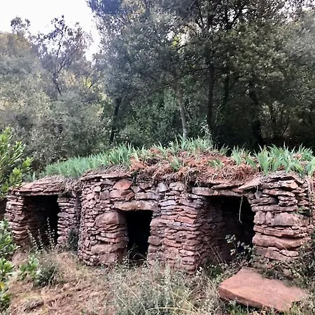 Ca La Neus - Casa Per 8 Persones Al Poble De *