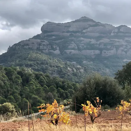 Ca La Neus - Casa Per 8 Persones Al Poble De Chalet Mura